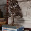BONSAI CHOKAN - Image 3